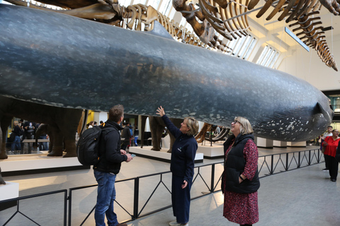 London: Natural History Museum Express Tour & Audio App
