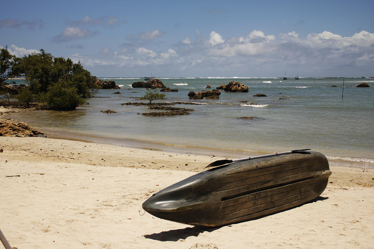 Dagtrip naar het eiland Morro de São PauloPortugees sprekend