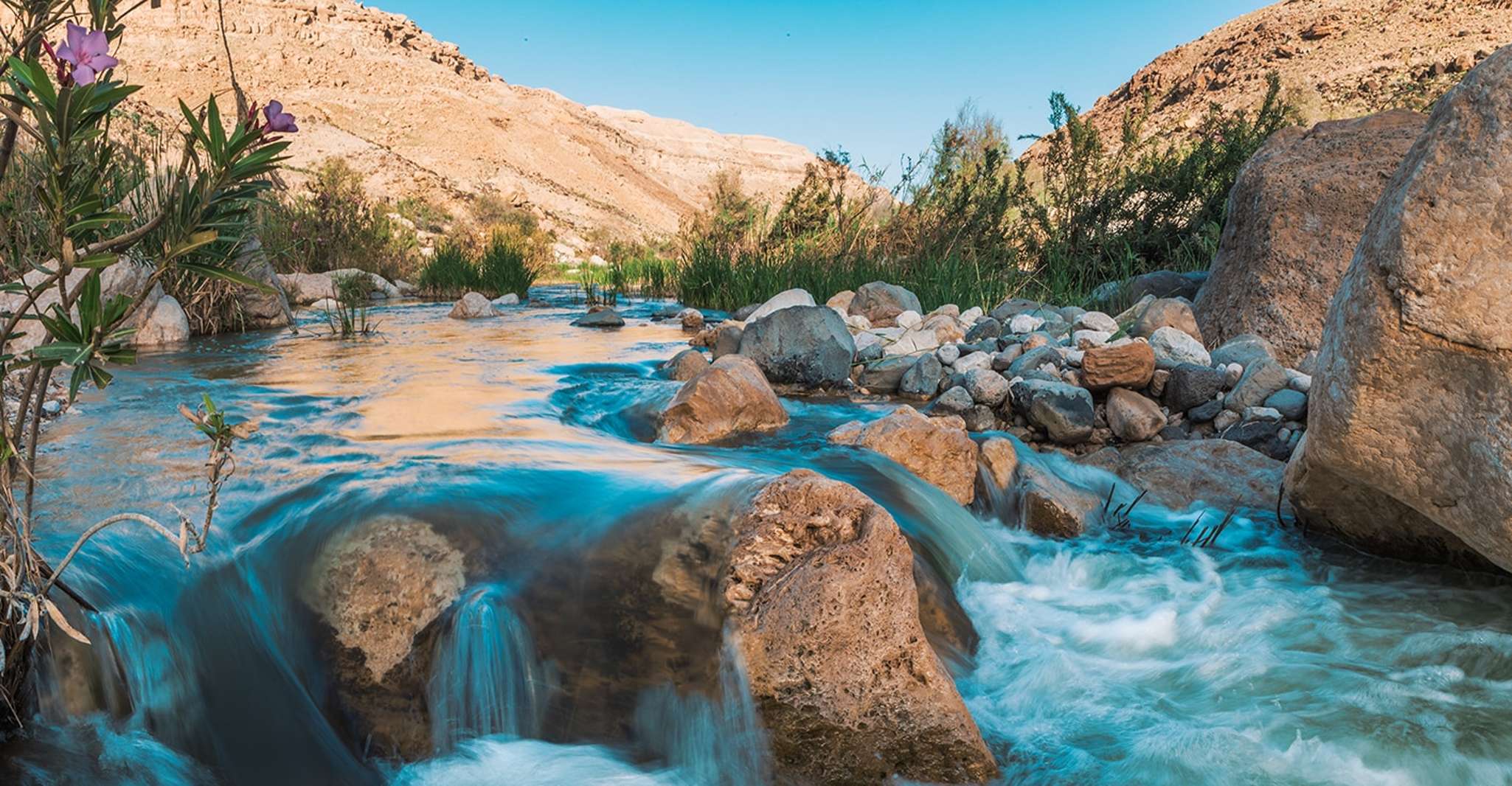 De Amman, Wadi Mujib River Canyon Hike et voyage d'une journée privée - Hizvo