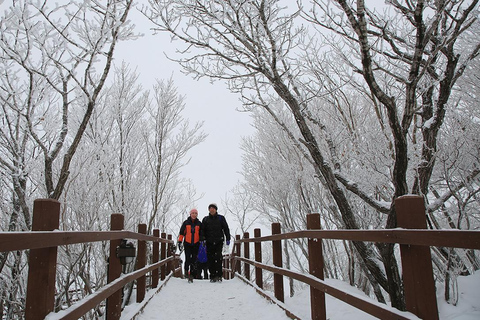 Busan: Discovery Tour With Snow &amp; UNESCO Spot