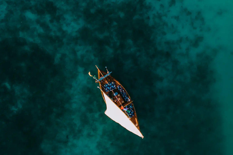 Zanzíbar: Crucero privado en dhow por la isla de Mnemba con almuerzo