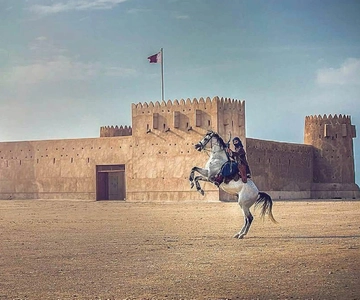 North Qatar: Zubara Fort, Jumail Village, Thakhira Mangroves