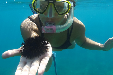 Chania: tour en barco con scooter de mar para hacer snorkel