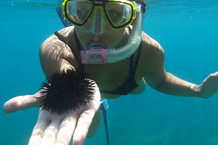 Chania: Sea Scooter Snorkling båttur