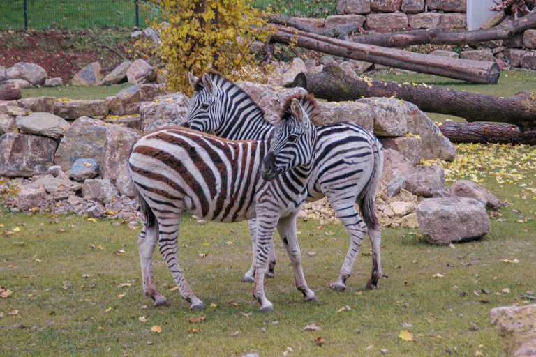 Baku: Baku Zoo Guided Tour with Hotel Pickup