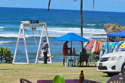 Barbados: Tour guiado panorámico privado