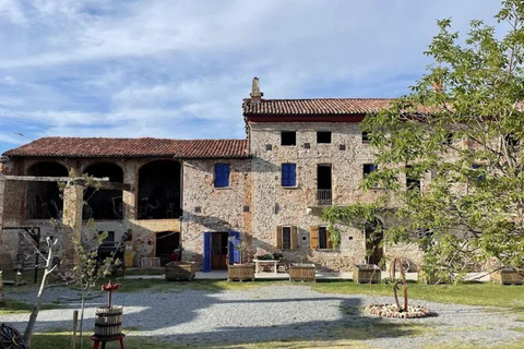 Langhe: Alpaca Walk, Farm Visit, and Traditional Picnic