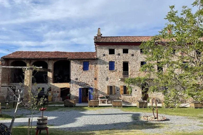 Langhe: Alpaca Walk, Farm Visit, and Traditional Picnic
