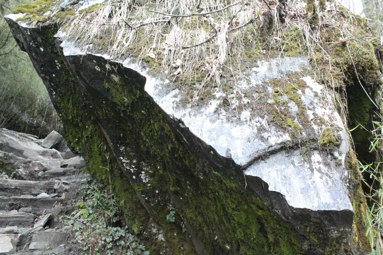 Pokhara: Trekking de 6 días al campamento base del Annapurna con guía