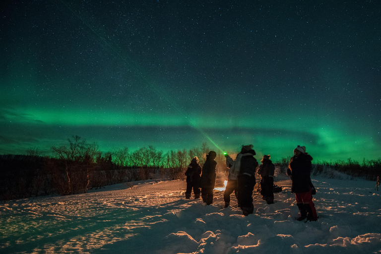 Tromsø: Adult Only Aurora hunt with Citizen Science