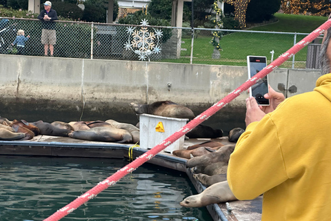 Los Angeles: Marina del Rey Kreuzfahrt auf einem klassischen Segelboot