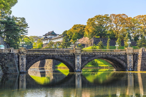 Tokyo : visite d&#039;une demi-journée le matin en petit groupe