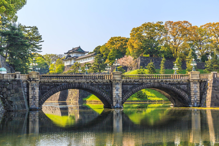 Tokyo - en halvdag Halvdagsutflykt på morgonen i liten grupp