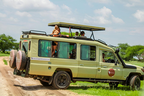 Tanzania: Safari de 2 días a Tarangire y el cráter del Ngorongoro