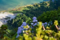 Azores, Furnas & Nordeste Volcano Full-Day Tour with Lunch - Housity