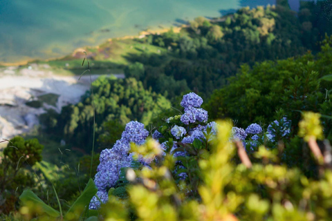 São Miguel: Ganztagestour zum Vulkan Furnas und zur Nordeste