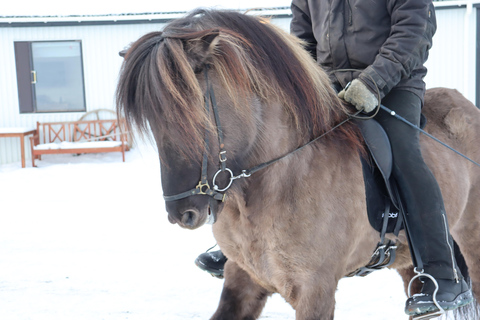 Da Akureyri: visita della fattoria di Skagafjörður con battaglia vichinga