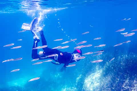 Mallorca: Schnorcheltour mit Tauchlehrer vom Boot - Cap de Formentor