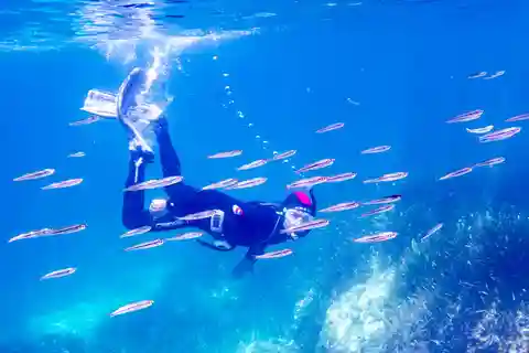 Mallorca: Snorkeling tour with instructor from a boat in a hidden bay