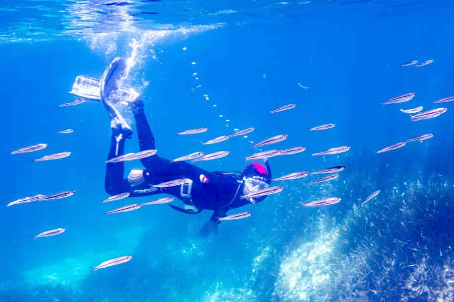 Mallorca: Schnorcheltour mit Tauchlehrer vom Boot - Cap de Formentor. Foto: GetYourGuide Mallorca: Schnorcheltour mit Tauchlehrer vom Boot - Cap de Formentor. Foto: GetYourGuide