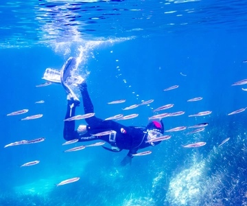 Mallorca: Snorkeling tour with instructor from a boat in a hidden bay