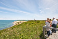 Boston, Descubre Martha's Vineyard con Opcional Island Tour - Housity