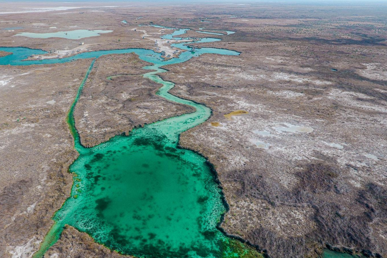 From Monterrey: Tour a Cuatro Ciénegas one day tour