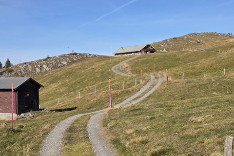Zurich: Mount Titlis & Fondue Small Group Private Tour Small Group with Pickup