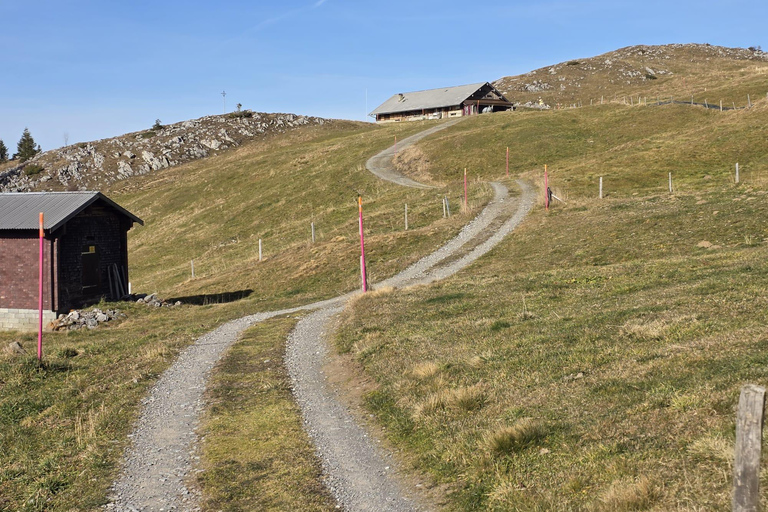 Zurich: Mount Titlis & Fondue Small Group Private Tour Small Group with Pickup