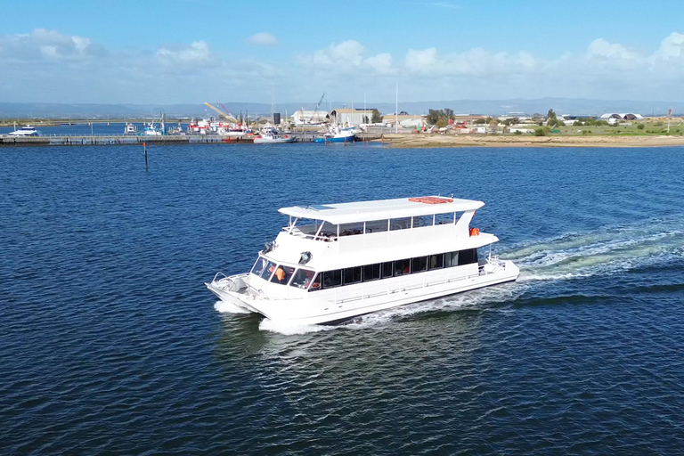 Port Adelaide: Dolphin and Maritime Cruise