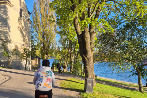 Stockholm: E-Bike City Tour