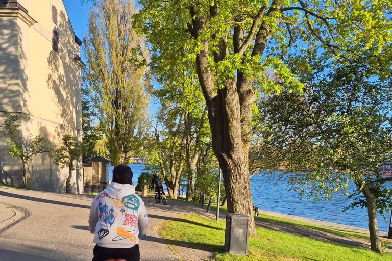 Stockholm: E-Bike City Tour
