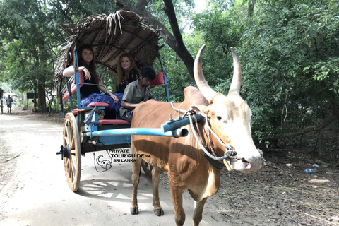 GUIA DE TURISMO PRIVADO EM SRI LANKA Pacote turístico de 6 dias.