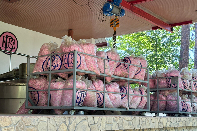 From Plovdiv: Rose Valley & Thracian Kings’ Tombs Day Trip