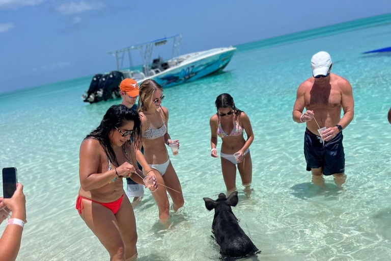 007-Mañana Todo Incluido Nadar con Cerdos en la Isla Rosa007 Todo Incluido-Nadar con cerdos en la Isla Rosa