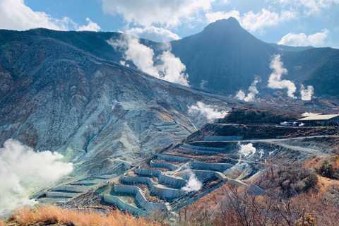 Viaje de 3 días a Tokio, el Monte Fuji y Hakone