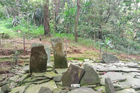 Bogor Botanical Garden and Domas Megalithic Site Tour