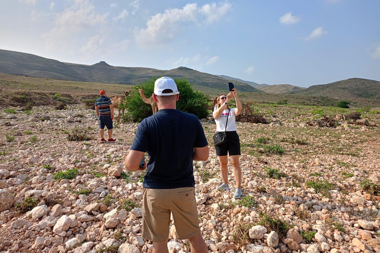 Excursión de 8 horas por el oeste de Salalah con Visit Our Salalah