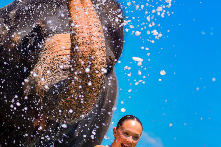 Phuket: Half‑Day Elephant Care Experience Including Lunch