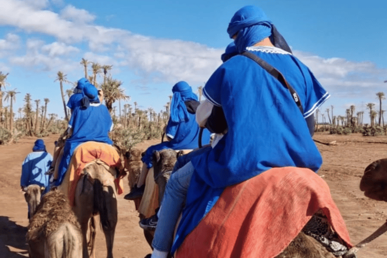 Marrakech : balade en chameau à la palmeraieMarrakech : balade en chameau de 3 h à la palmeraie