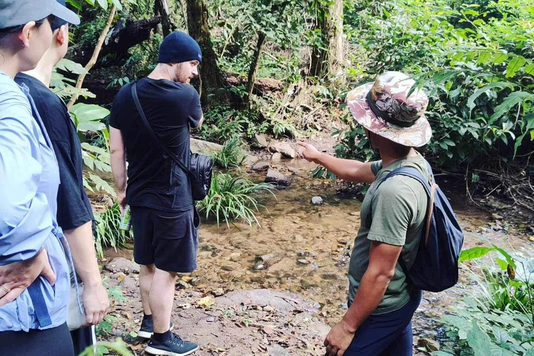 Chiangmai Sunrise Hike