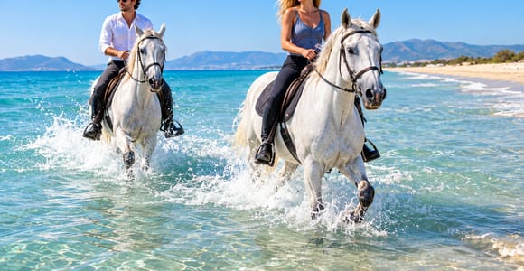 Bodrum: Beach Horseback Riding with Sunset Option