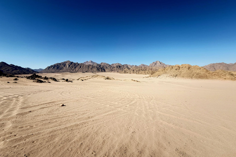 Hurghada: Mount Shaib El Banat Tour with Sandboarding Sand boarding and hiking & camel ride
