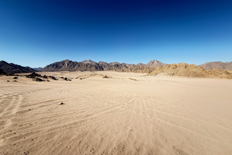 Hurghada: Mount Shaib El Banat Tour with Sandboarding Sand boarding and hiking & camel ride