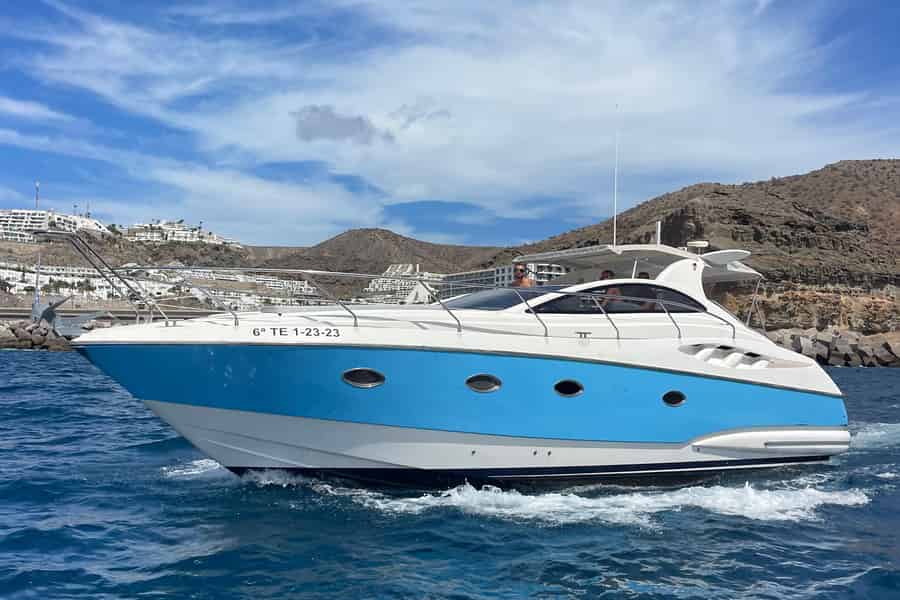Die beste private Yacht auf Gran Canaria. Foto: GetYourGuide