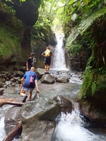Hiking in the rainforest - Housity