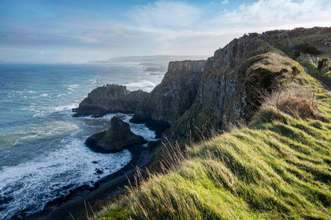 Vanuit Dublin: Privétour naar Giant`s Causeway &amp; touwbrug