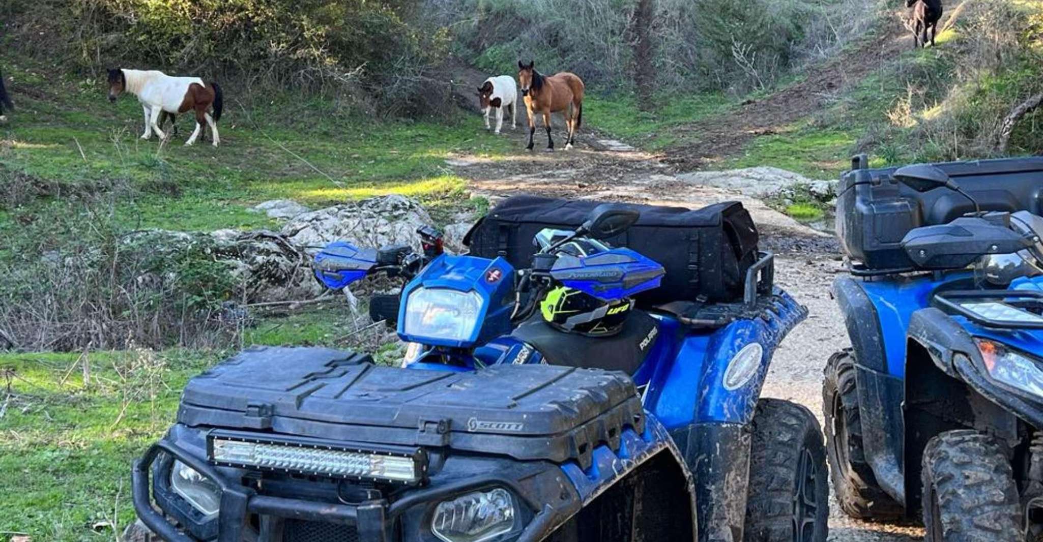 Bracciano, 4-hour quad bike tour - Hizvo