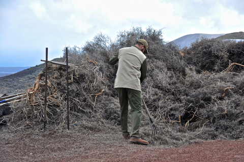 From Yaiza: Timanfaya Express Tour with No Queues