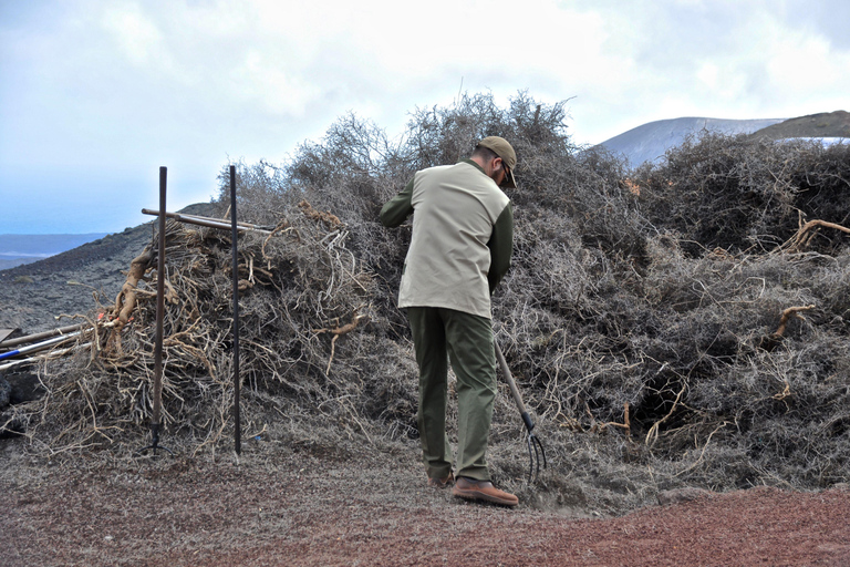 From Yaiza: Timanfaya Express Tour with No Queues